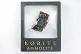 Iridescent Ammolite (Fossil Ammonite Shell) - Rare Purples #197509-1